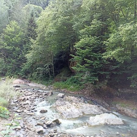 Appartamento Montana Slănic Esterno foto
