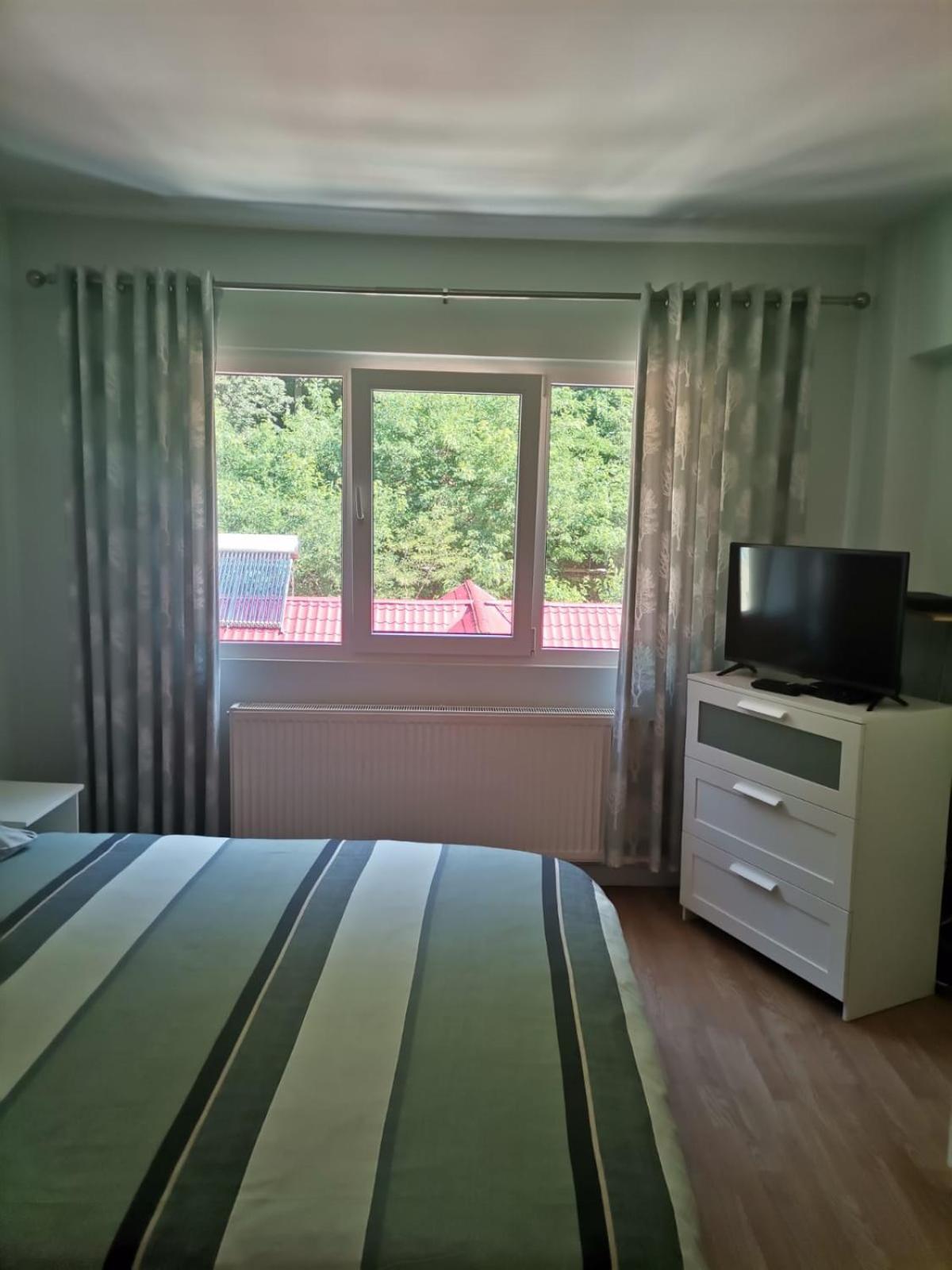 Appartamento Montana Slănic Esterno foto