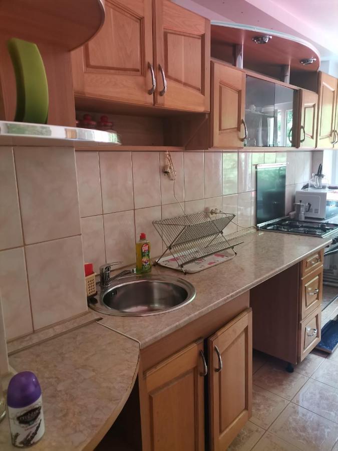 Appartamento Montana Slănic Esterno foto