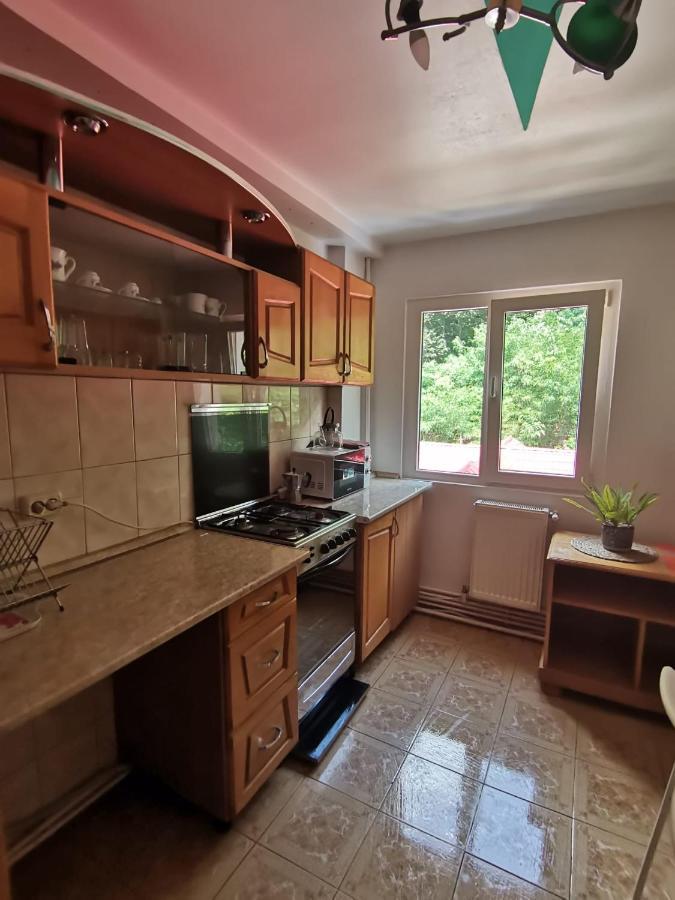 Appartamento Montana Slănic Esterno foto