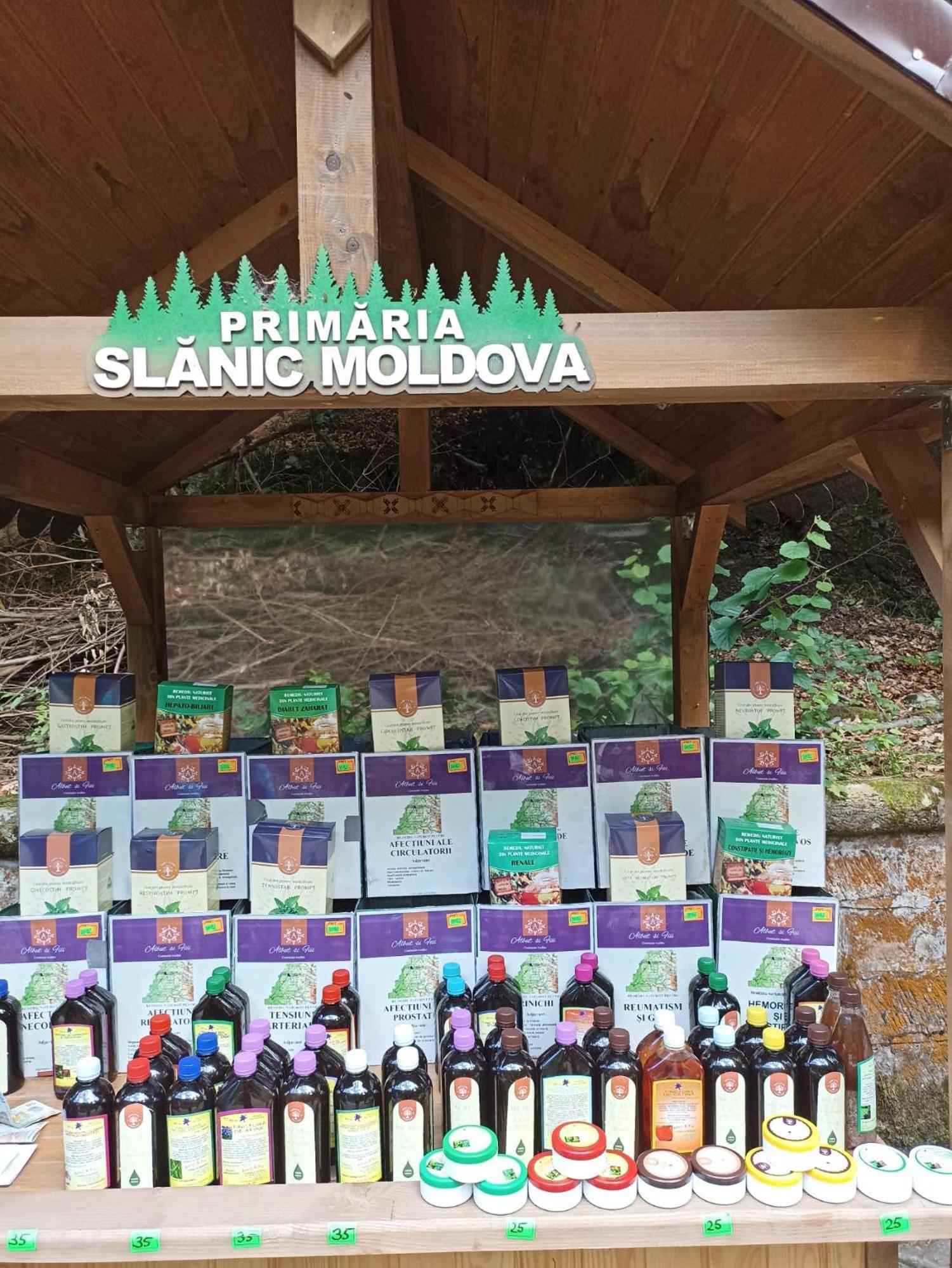 Appartamento Montana Slănic Esterno foto