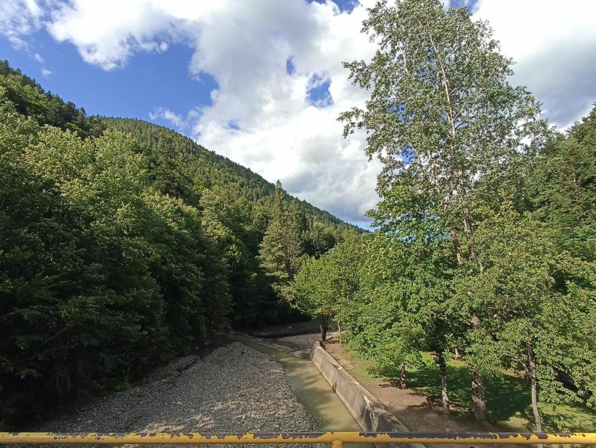 Appartamento Montana Slănic Esterno foto