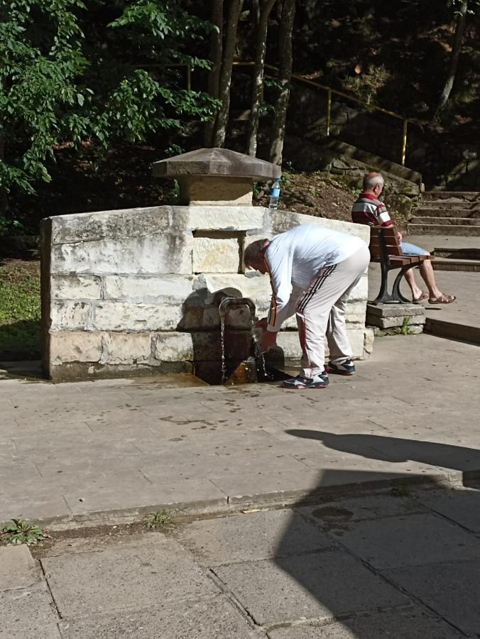Appartamento Montana Slănic Esterno foto
