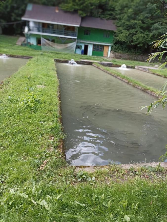 Appartamento Montana Slănic Esterno foto