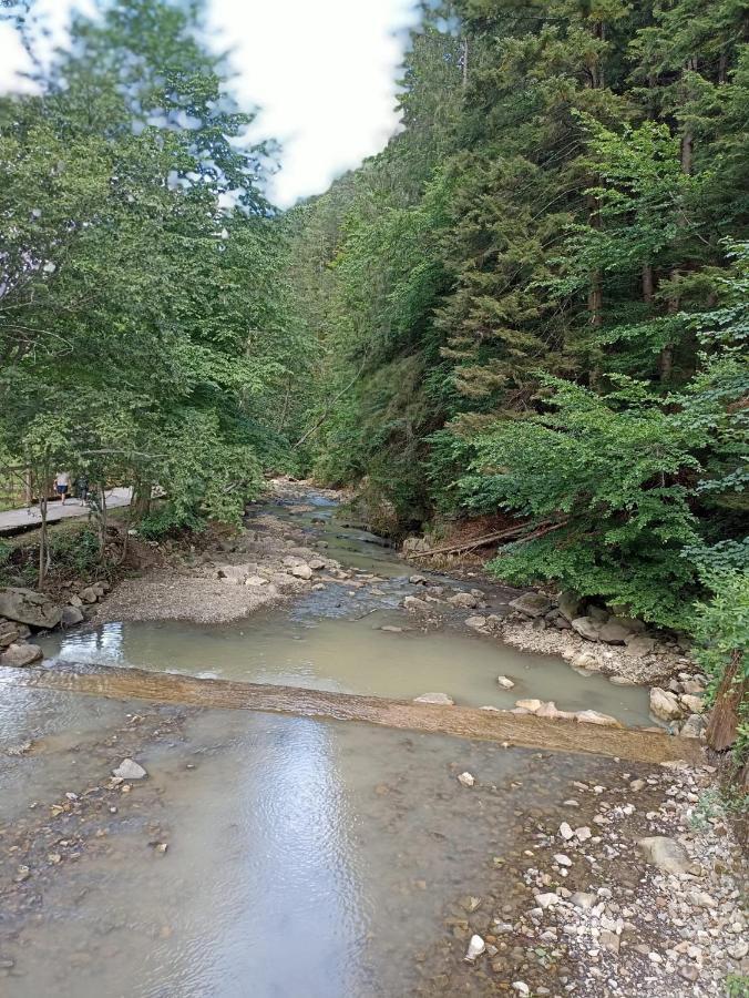 Appartamento Montana Slănic Esterno foto