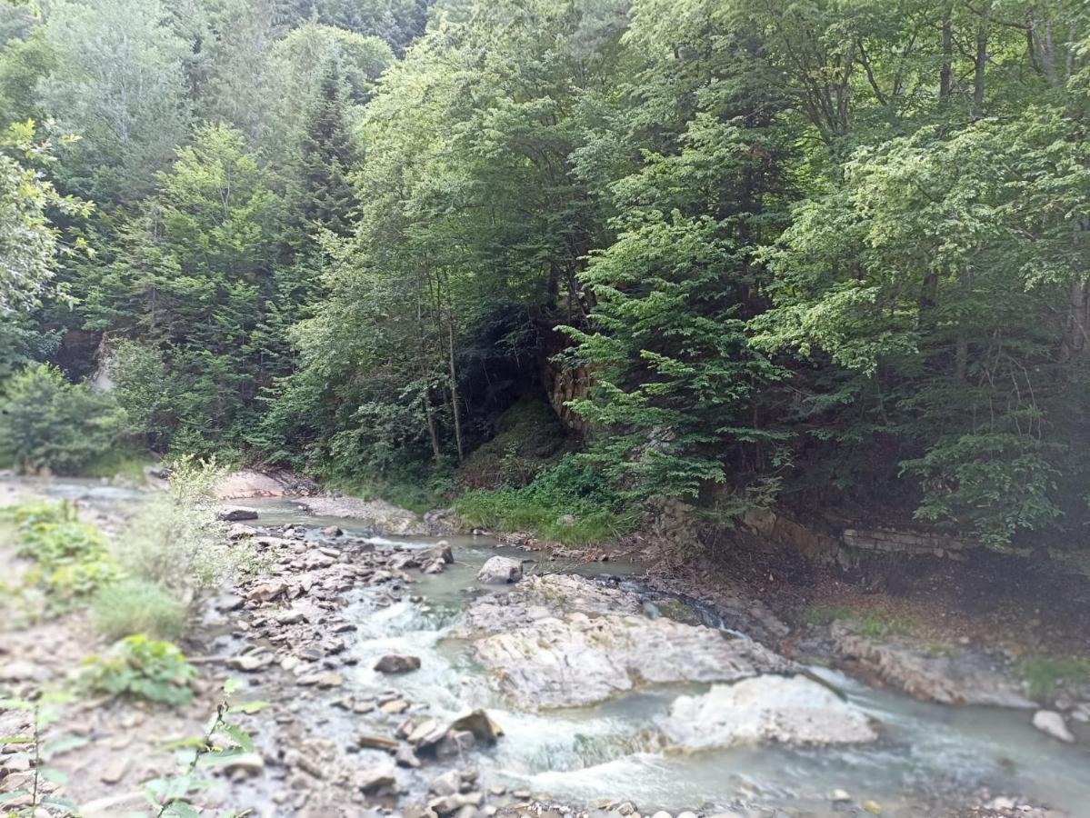 Appartamento Montana Slănic Esterno foto