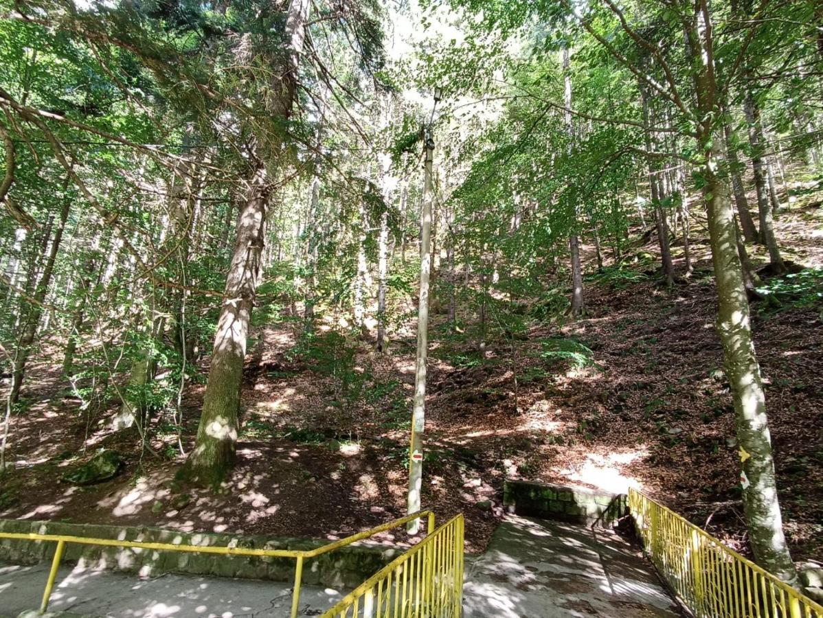 Appartamento Montana Slănic Esterno foto