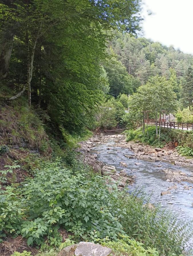 Appartamento Montana Slănic Esterno foto