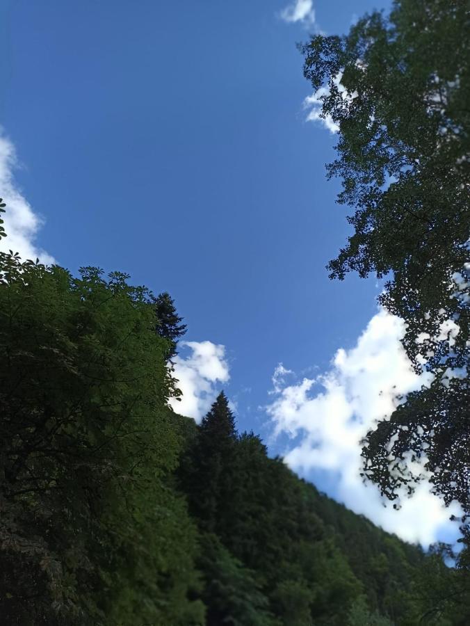 Appartamento Montana Slănic Esterno foto